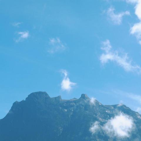 劉怡伶 - 攝影作品