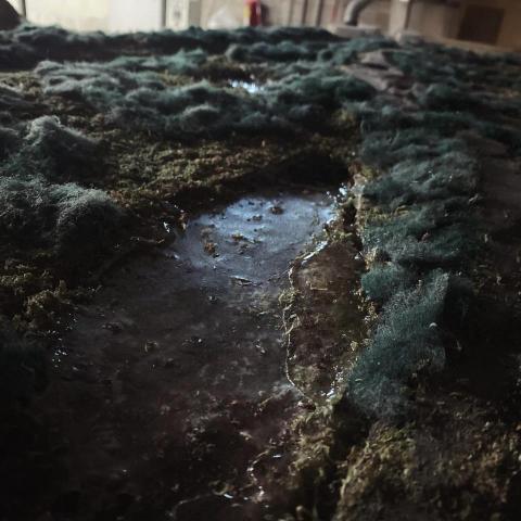 鄭楷霖 - 細緻景觀生態風景模型