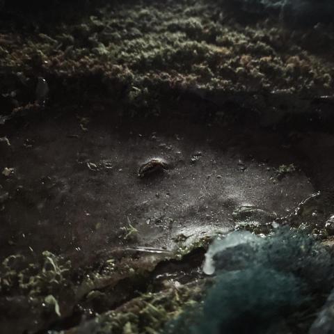 鄭楷霖 - 景觀水池模型