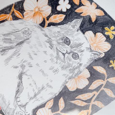 提供保母服務的專家joyce