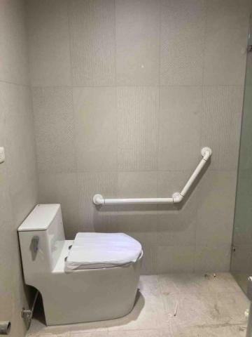 璞峰工程有限公司 - 馬桶/扶手安裝