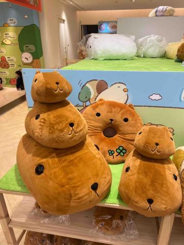 提供美髮店創業服務的專家yin