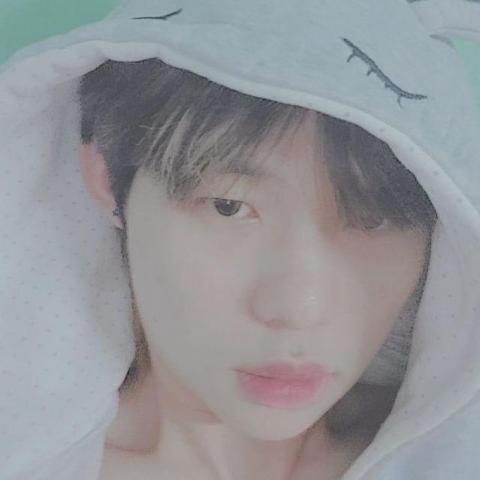 提供n3服務的專家李尚洋