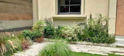 Plant & Speaking - 商空植栽規劃及施工