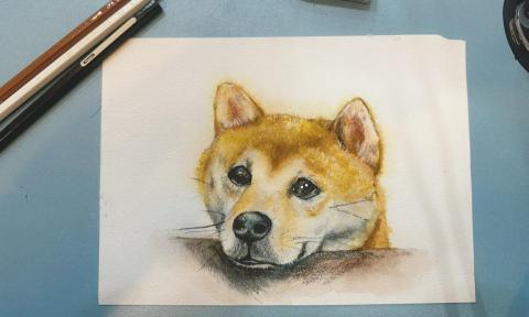 SEIKI設計 - 寵物水彩_椪柑柴犬 SEIKI設計 - 寵物水彩_椪柑柴犬