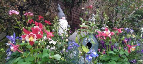 Plant & Speaking - 私宅植栽規劃及施工