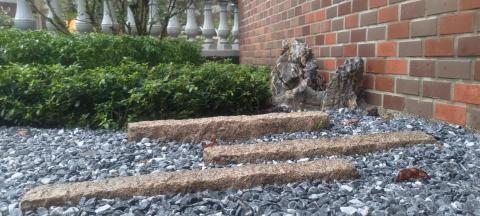 Plant & Speaking - 私宅植栽規劃及施工