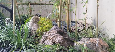 Plant & Speaking - 商空植栽規劃及施工