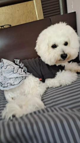 羅方岑 - 不關籠 每天相處在一起