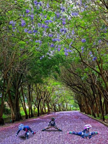 斯坦利運動館-直排輪，滑步車，國標舞 - 直排輪，溜一夏