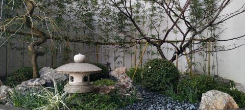 Plant & Speaking - 商空植栽規劃及施工