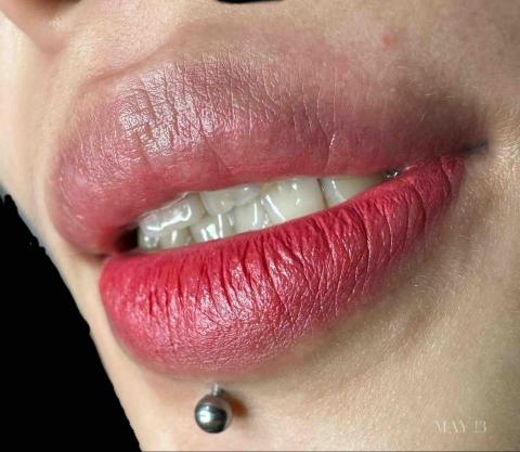 𝘓𝘪𝘱𝘴 𝘏𝘪𝘎𝘩 Äʀᴛɪꜱᴛ｜半永久霧唇 - 改烏唇