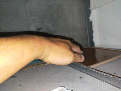 全球聯合環境保護有限公司 - 滅鼠作業