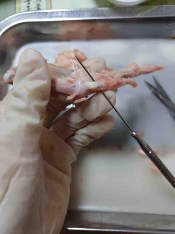 吳珮榆（臺灣大學） - 