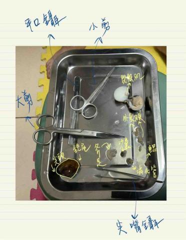 吳珮榆（臺灣大學） - 