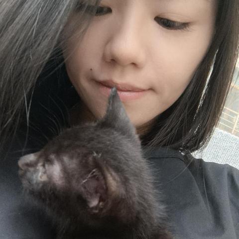 提供餵貓服務的專家趙奕寧