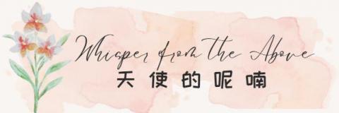 沁荷字坊 - 品牌臉書banner設計