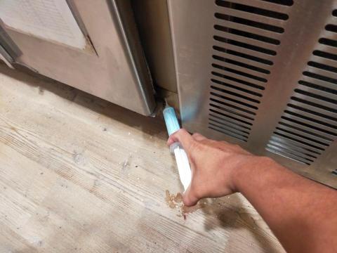 全球聯合環境保護有限公司 - 除蟑點藥作業