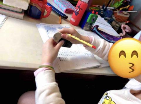 坎蒂斯 - 輔導國小生全科