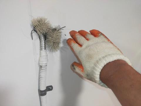 全球聯合環境保護有限公司 - 滅鼠作業