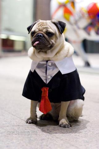 藍莓爸影像工作室 - 