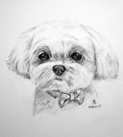 小星人俱樂部 - 寵物鉛筆素描 小星人俱樂部 - 寵物鉛筆素描