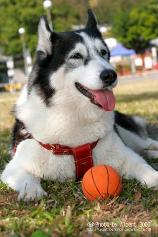 藍莓爸影像工作室 - 