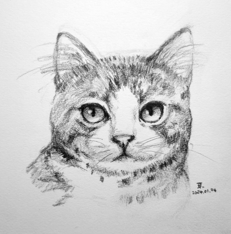 小星人俱樂部 - 寵物鉛筆素描 小星人俱樂部 - 寵物鉛筆素描