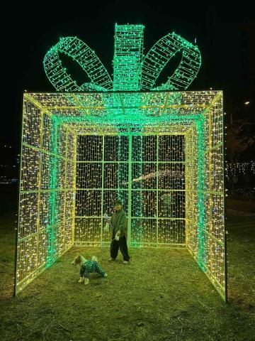 Kate Chen - 我們家也有小可愛