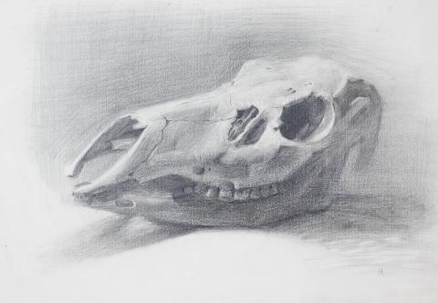 練柏宏 - 靜物鉛筆素描 練柏宏 - 靜物鉛筆素描