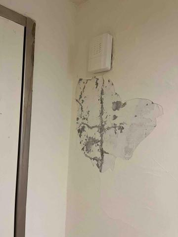 張耀仁 - 牆面壁癌