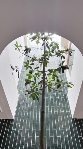 思因設計 - 商空案-MPORG-設計&統包