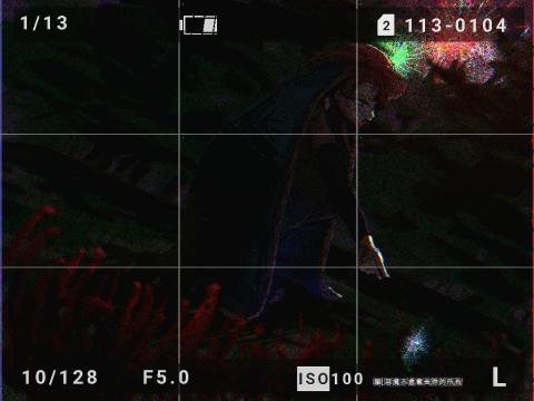 王文凱 - 《鏡頭之下-3》願惡魔不會奪去你的所有