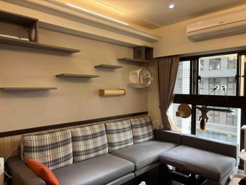 賴郁佳-寵物保母住宿 - 五星貓跳台