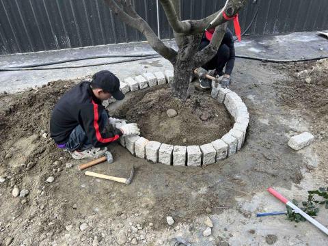 綠氧森活園藝 - 