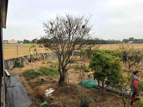 綠氧森活園藝 - 