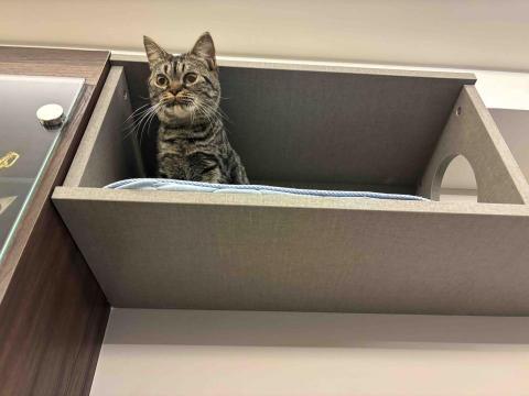 賴郁佳-寵物保母住宿 - 