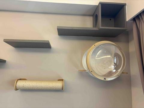 賴郁佳-寵物保母住宿 - 可愛的潛水艇