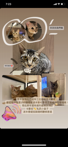 賴郁佳-寵物保母住宿 - 