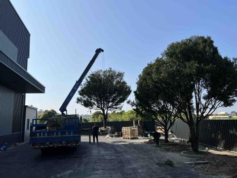 綠氧森活園藝 - 