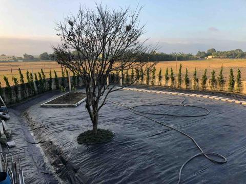 綠氧森活園藝 - 