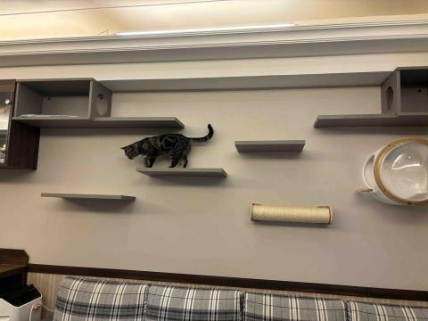 賴郁佳-寵物保母住宿 - 