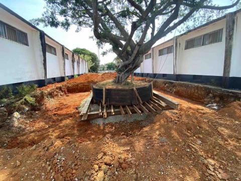 綠氧森活園藝 - 