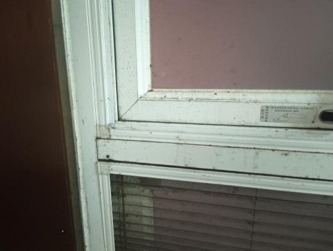 陳俊一 - 紗窗鋁窗清潔