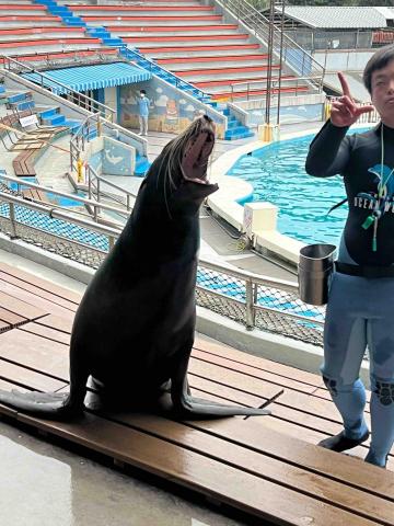 邱子庭 - 可以帶小朋友出去玩