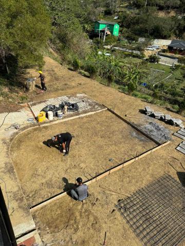 👑皇喬園藝《樹木修剪、伐木整地》 - 