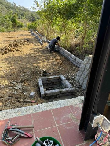 👑皇喬園藝《樹木修剪、伐木整地》 - 