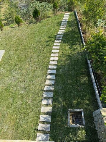 👑皇喬園藝《樹木修剪、伐木整地》 - 