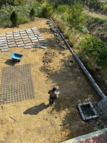 👑皇喬園藝《樹木修剪、伐木整地》 - 