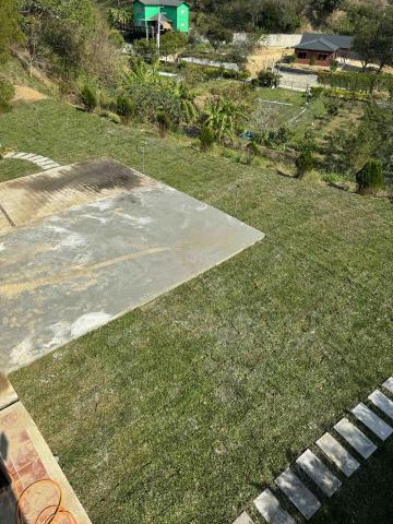 👑皇喬園藝《樹木修剪、伐木整地》 - 